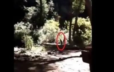 Duendes en Bariloche?: un turista publicó un video donde apareció