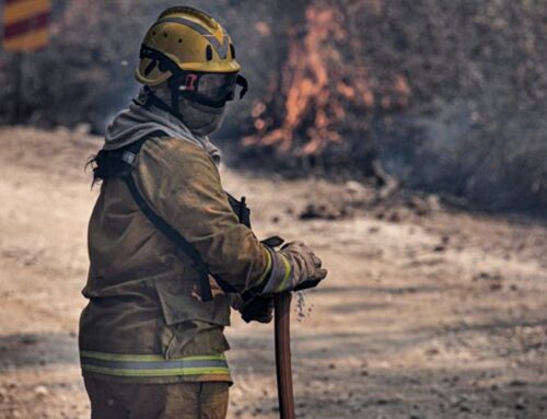 Cinco provincias registran focos activos de incendios forestales