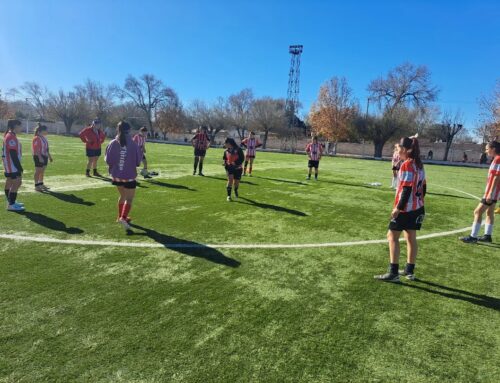 Polideportivo Semanal